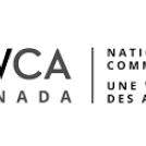 Free Teen Summer Camps at the YWCA